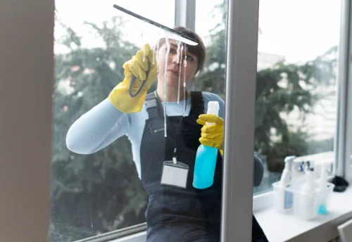 Nettoyage de vitres intérieures et extérieures à Roubion